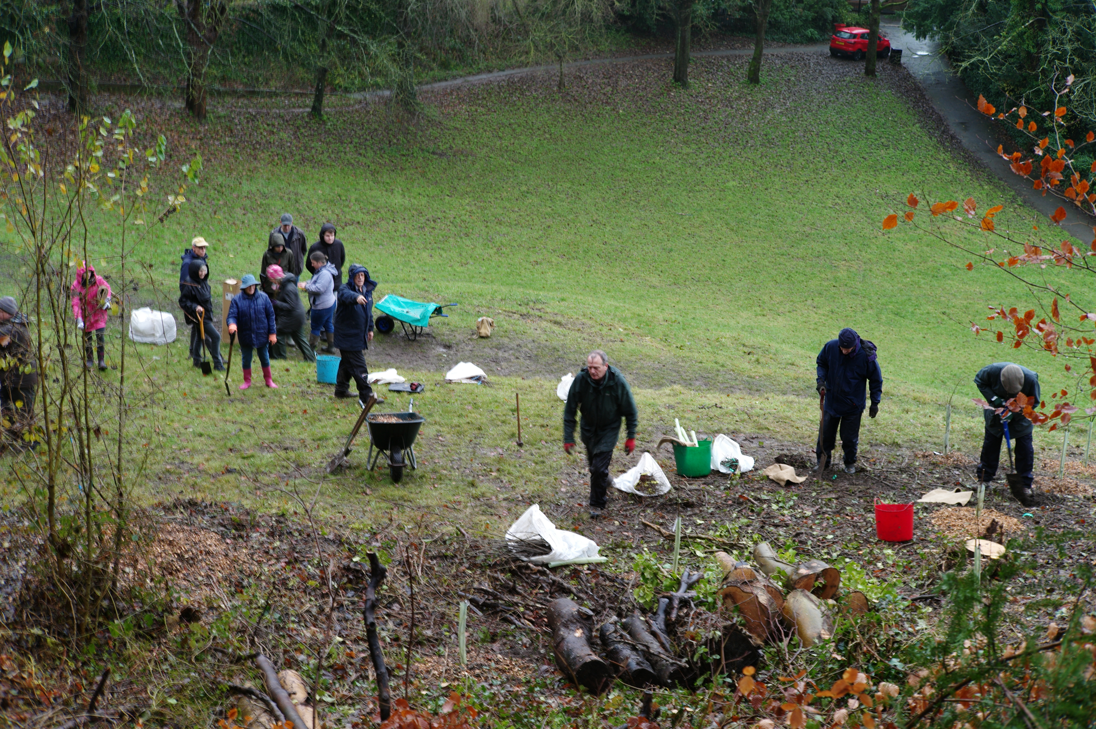 St Giles Hill Tree Planting 2